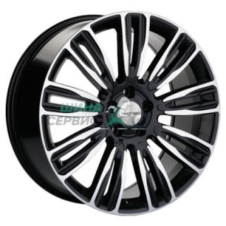 8,5x20/5x120 ET45 D72,6 Double-Spoke 2004 (20_RRover) Black-FP