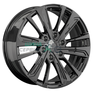 LS FG19